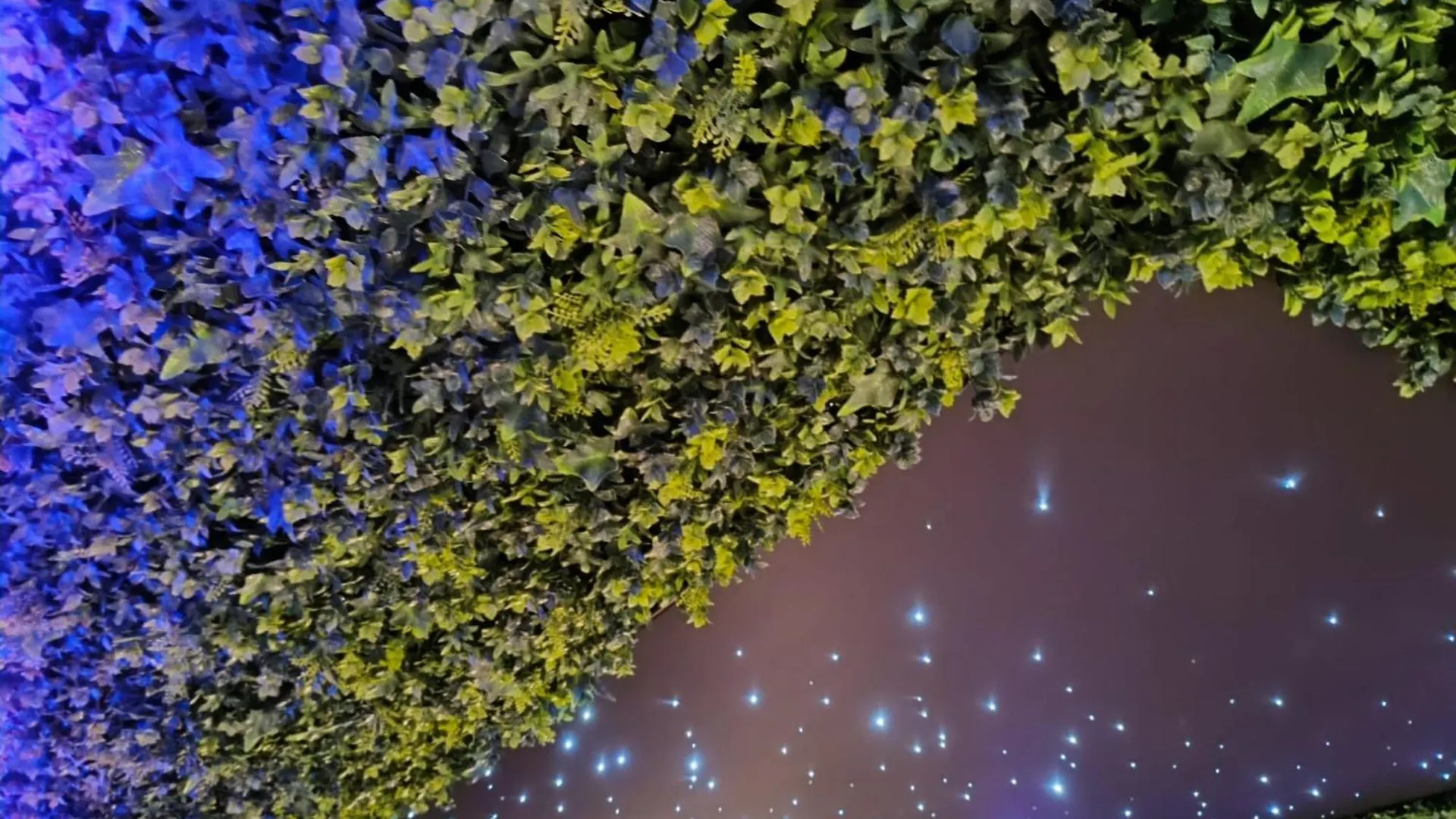 לינה וארוחת בוקר Charleval  Multiverse Suite Immersive צרפת
